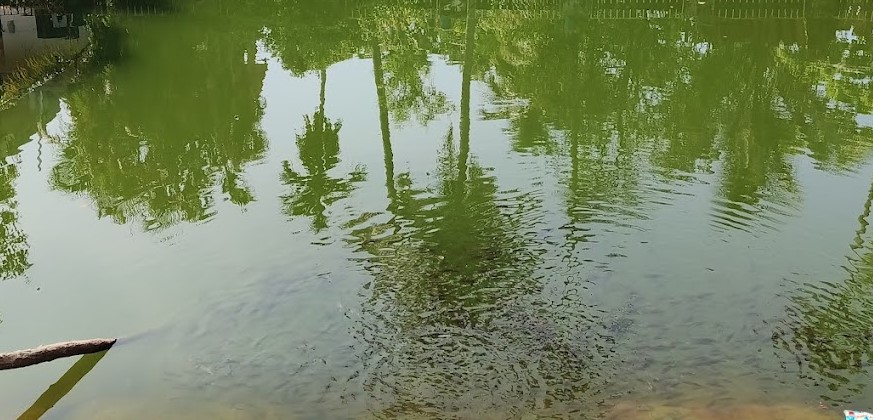 Image for Challenge #4